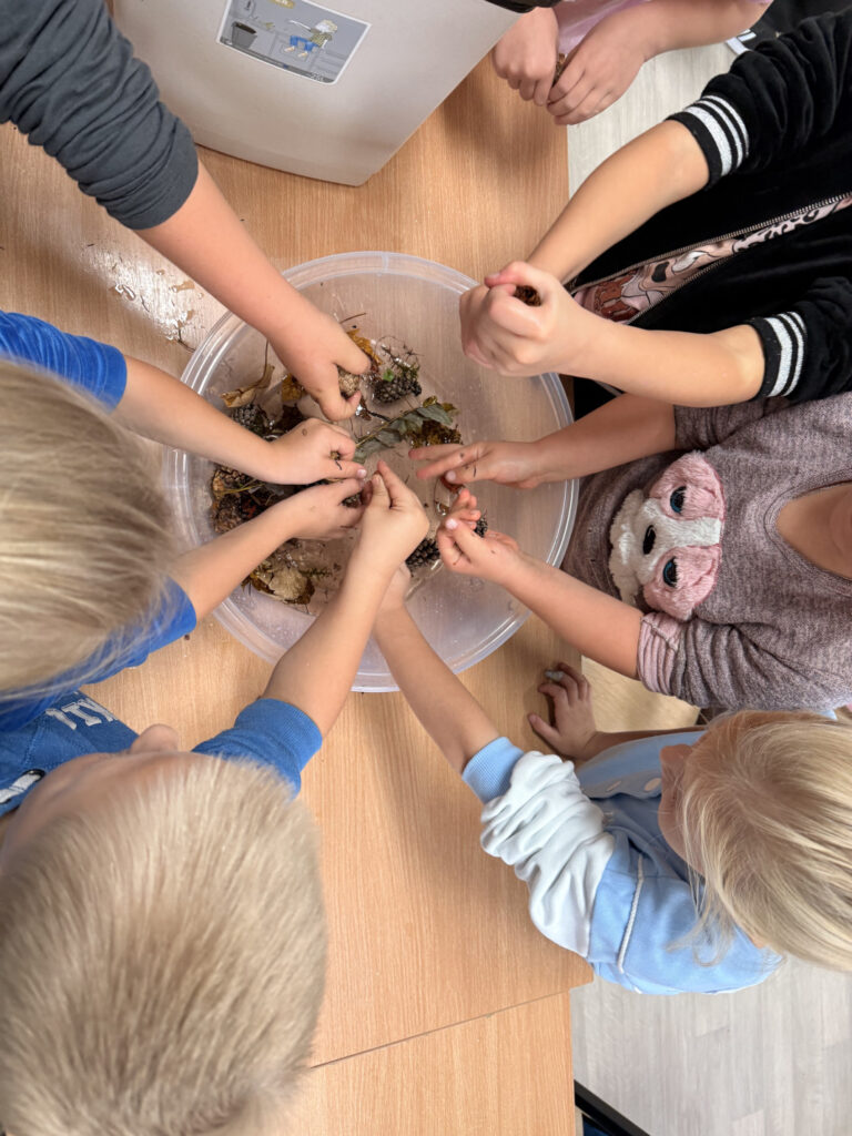 Przedszkolaki dotykają mokrych darów lasu.